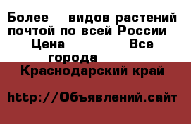 Более200 видов растений почтой по всей России › Цена ­ 100-500 - Все города  »    . Краснодарский край